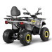 Квадроцикл Gladiator F200 Long