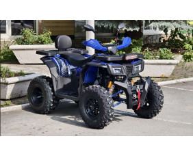 Квадроцикл RMOTO Lion 200X Pro