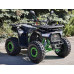 R-moto Lion 125 AR