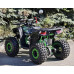 R-moto Lion 125 AR