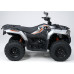 Loncin XWolf 300 Max