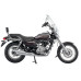 Bajaj Avenger 220 Cruise