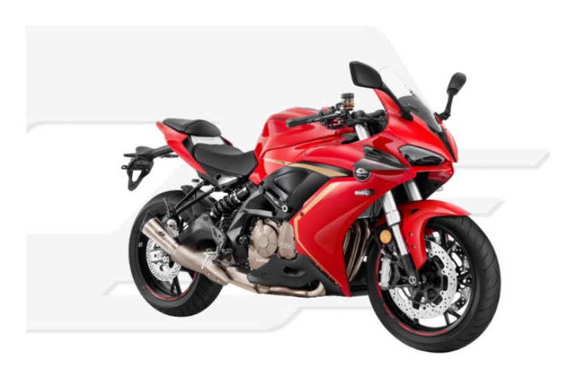 QJMOTOR SRK 600 RC