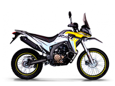 Rally300