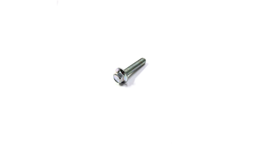 Болт M6*L30