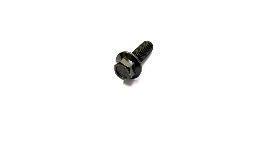 Болт М10х1.25*L30