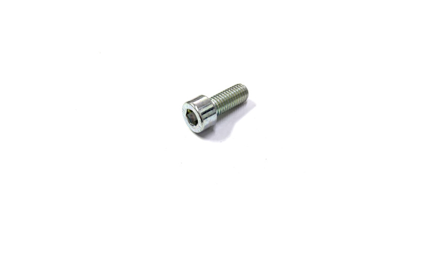 Болт M8*L20