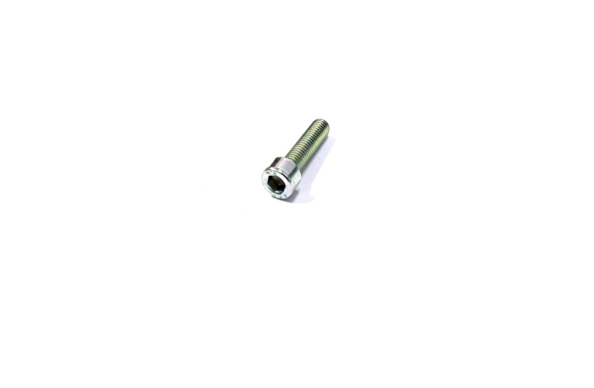 Болт M6*L25