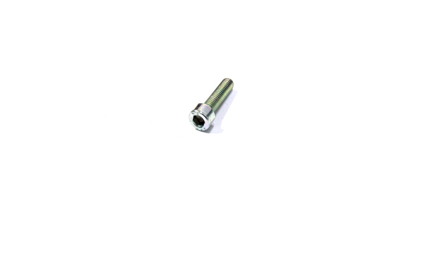 Болт M6*L25