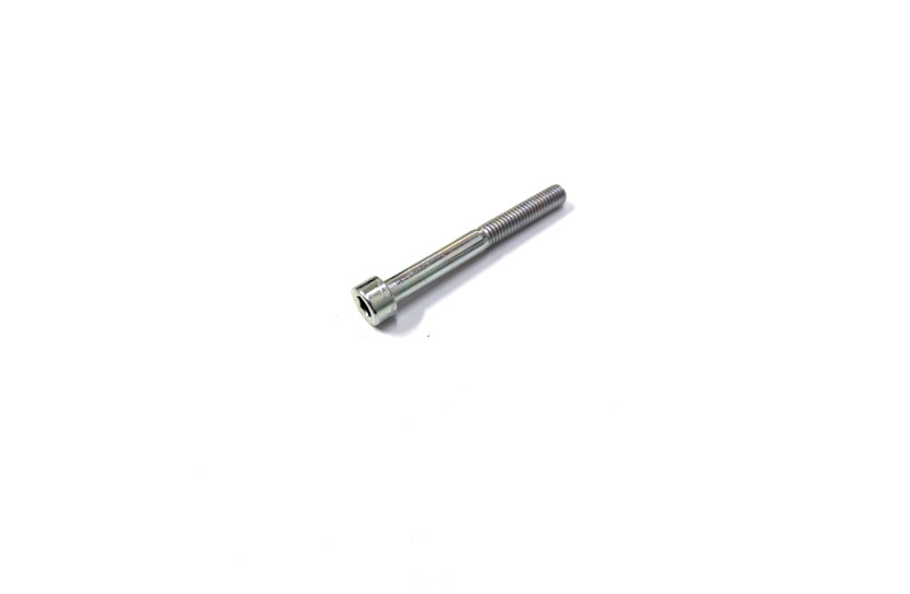 Болт M6*L55