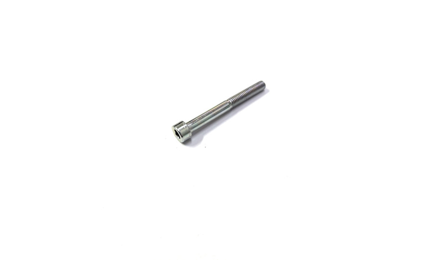 Болт M6*L55