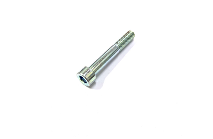 Болт M10*L65