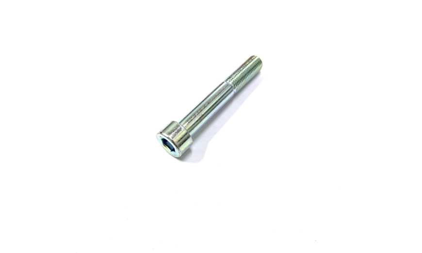 Болт M10*L65