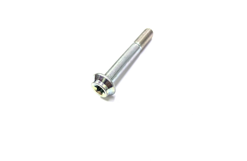 Болт M10*L70