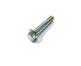Болт M10*L55