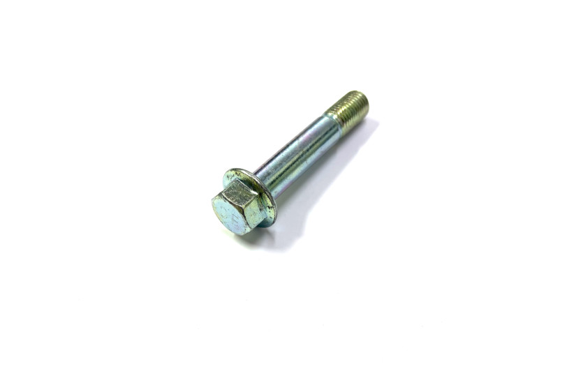 Болт M10*L55
