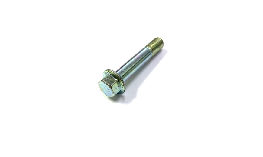 Болт M10*L55