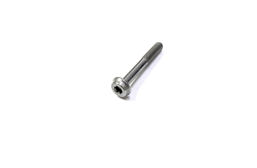 Болт M6*L45