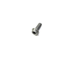 Болт M10х1.25*L25 Болт M10х1.25*L25