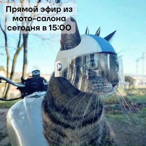 Проведем сегодня прямой эфир ВК в 15:00 из салона на Новомосковском шоссе, 58  📹 ✌🏻